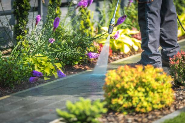 Trusted Northchase, NC Pressure Washing Services Experts